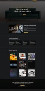 portfolio stron internetowych WordPress – projekt Asthetix